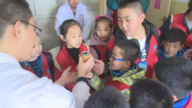 学习中医文化 感受中医魅力