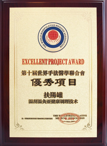 世界手法医学联合会颁发第十届世界手法医学联